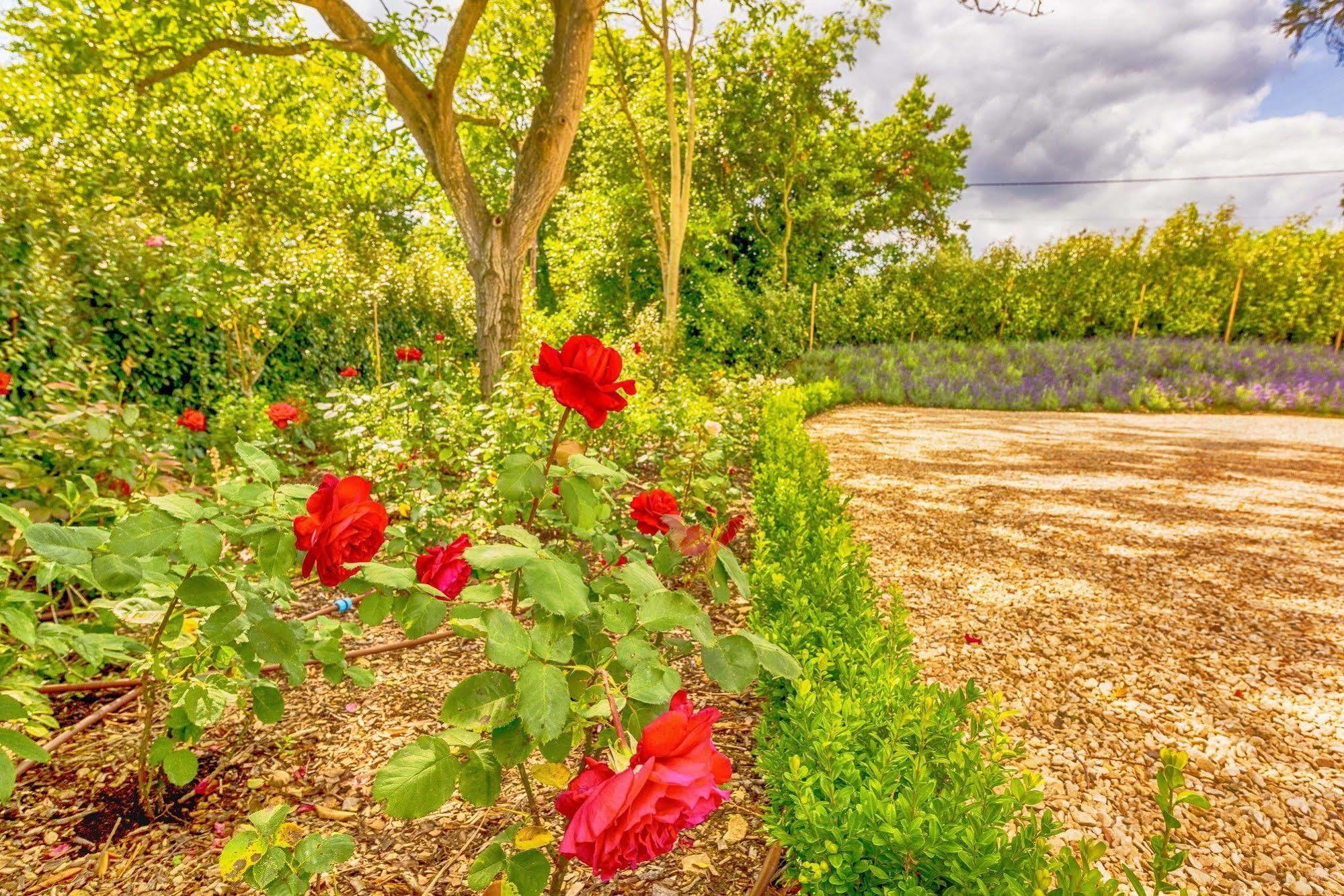 Whitley Coach House Villa Dış mekan fotoğraf